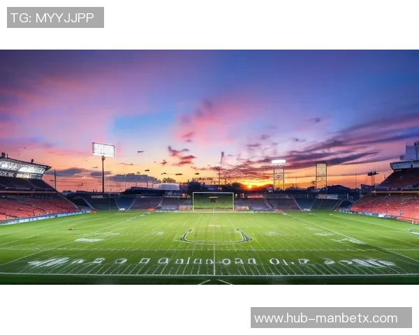 热鸟足球的魅力与激情探索球场上的热血与梦想